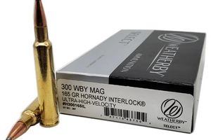 Патрон .300 Weatherby Magnum (300 Wby mag)