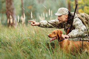 Техника безопасности при охоте с собакой