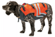 Жилет для собаки Cabelas Ripstop Dog Vest S