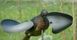 Муляж горлиці з провертаючимися крилами Lucky Duck Air Dove