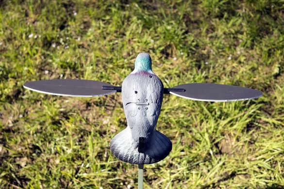 Чучело вяхиря MOJO Pigeon