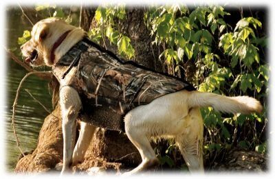 Жилет для собаки Cabela's Neoprene Dog Vest