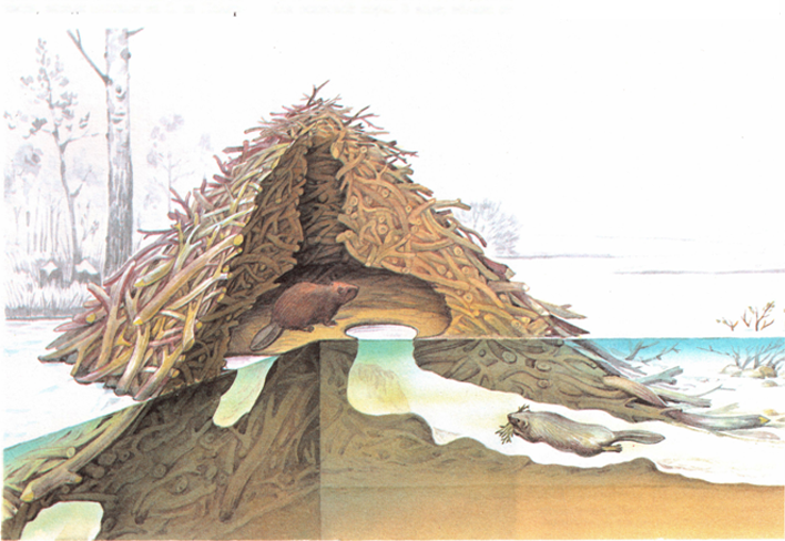 Плюсы и минусы мягкого покрытия для крыши