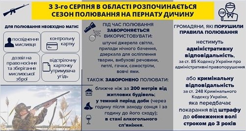 Регулювання полювання на бобра в Україні